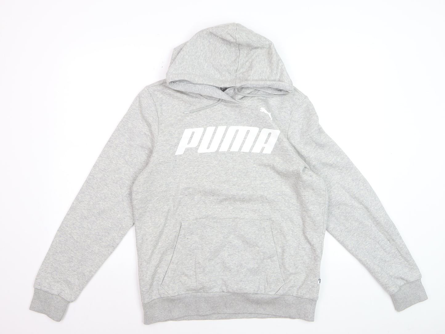Puma Men Grey Pullover Hoodie L Hooded Sweatshirt Graphic Logo