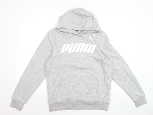 Puma Men Grey Pullover Hoodie L Hooded Sweatshirt Graphic Logo