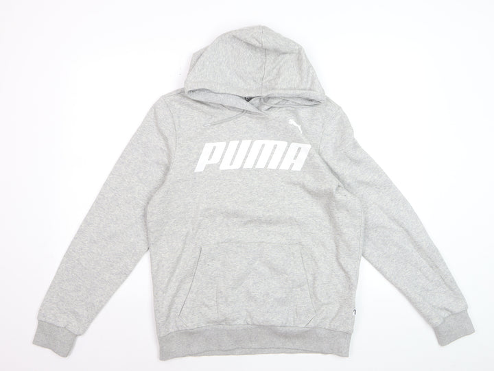 Puma Men Grey Pullover Hoodie L Hooded Sweatshirt Graphic Logo