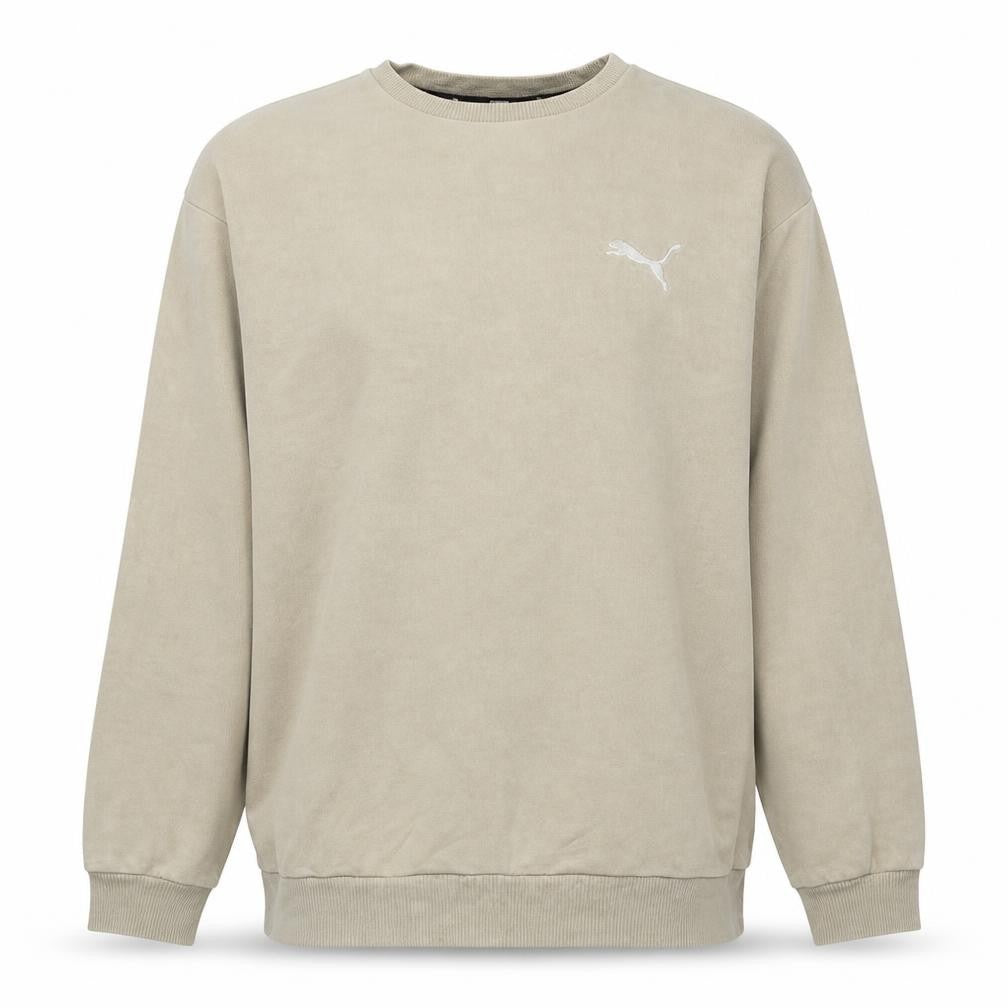 Front view of Puma Men Beige Fleece Pullover Sweatshirt M Regular Fit