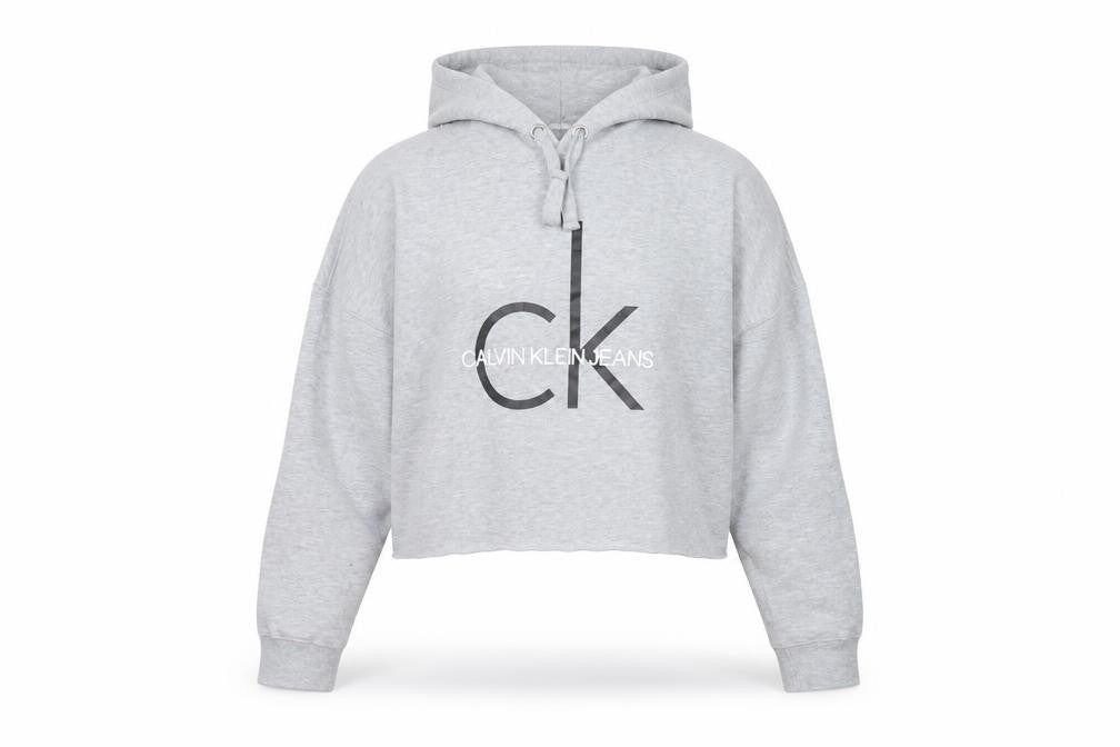 Front view of Calvin Klein Jeans women’s grey cropped hoodie, size M
