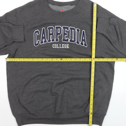 Hanes Men’s Grey College Logo Crew Neck Sweatshirt L