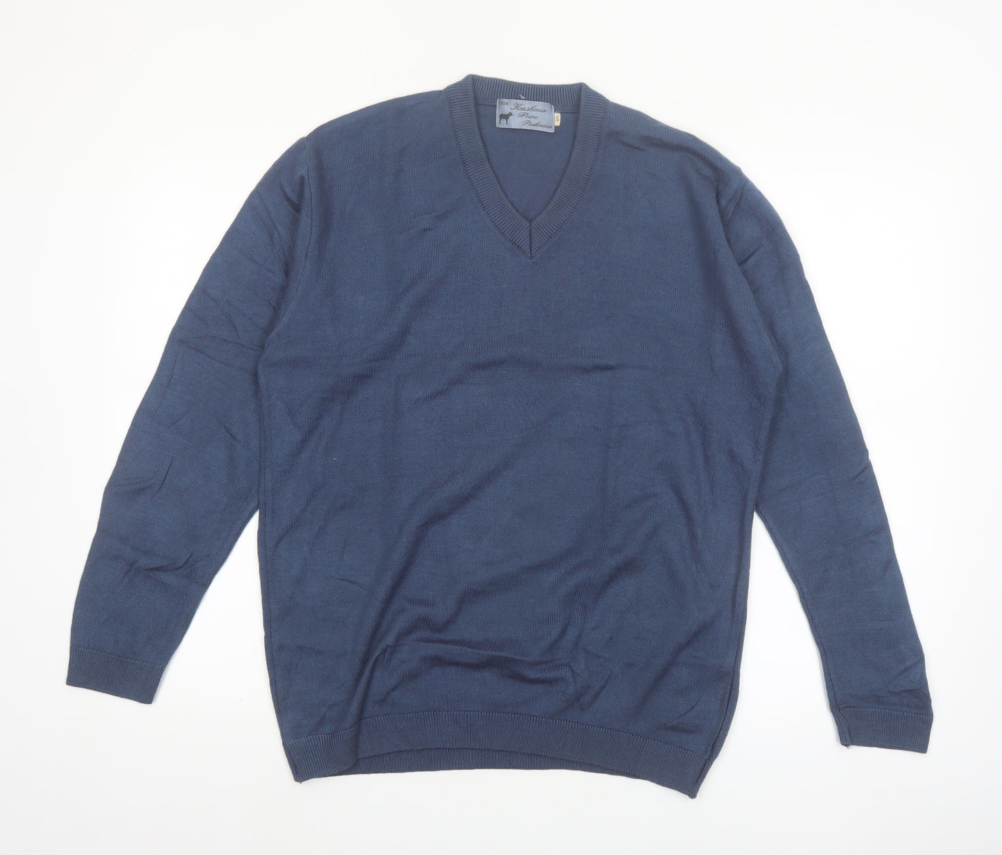 Kashmir Pure Pashmina Men's Blue V-Neck Cashmere Jumper S