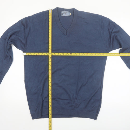 Kashmir Pure Pashmina Men's Blue V-Neck Cashmere Jumper S