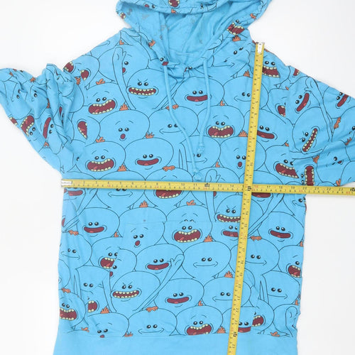 Lootwear Rick and Morty Blue Men's Pullover Hoodie Medium