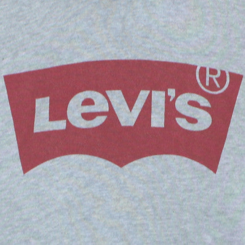 Levi's Men's Grey XL Pullover Hoodie with Logo Print