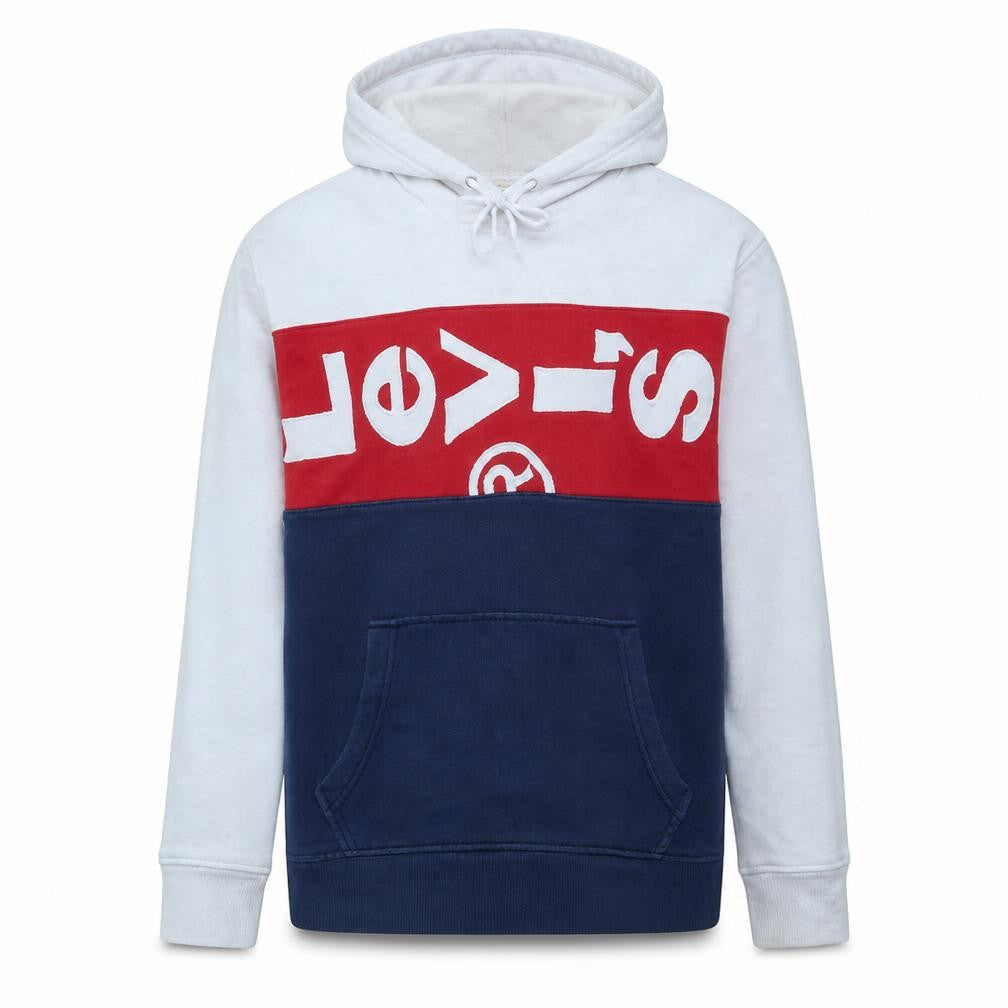 Front view of Levi's Men's Multicoloured Pullover Hoodie S Fleece Logo