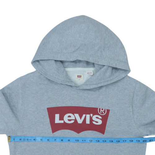 Levi's Men's Grey XS Pullover Hoodie with Logo Front