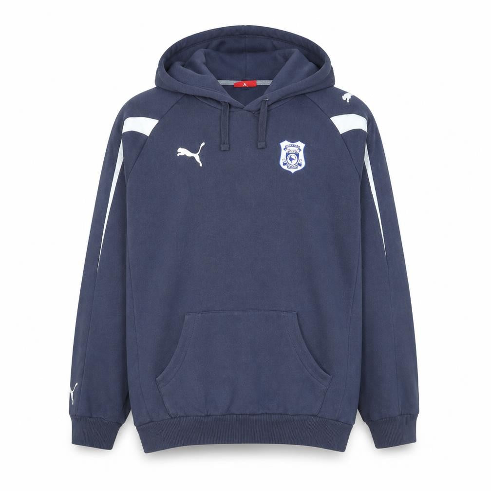 Front view of Puma Men's Blue Pullover Hoodie, size L, Embroidered Sports Sweatshirt