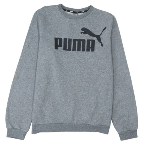Puma Boys Grey 15-16 Years Pullover Fleece Sweatshirt with Logo