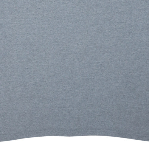 NFL Raiders Grey Men's X-Large Crew Neck Graphic T-Shirt