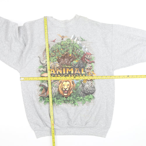 Disney Animal Kingdom Hanes Men Grey Pullover Sweatshirt M