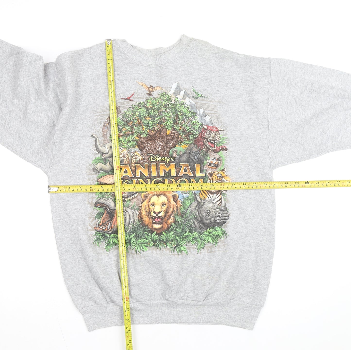 Disney Animal Kingdom Hanes Men Grey Pullover Sweatshirt M