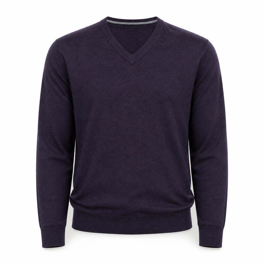 Front view of Ibex Men’s Purple Merino Wool V-Neck Jumper, size L