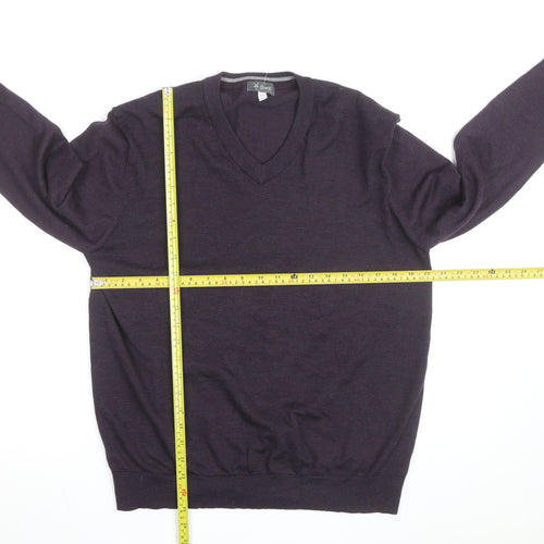Ibex Men’s Purple Merino Wool V-Neck Jumper Size L
