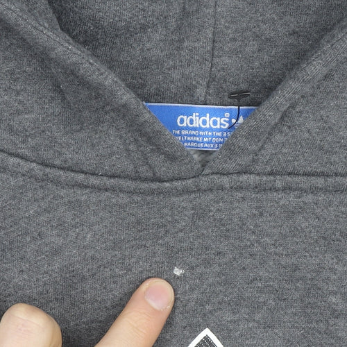 Adidas Men Grey Pullover Hoodie S Graphic Logo Fleece