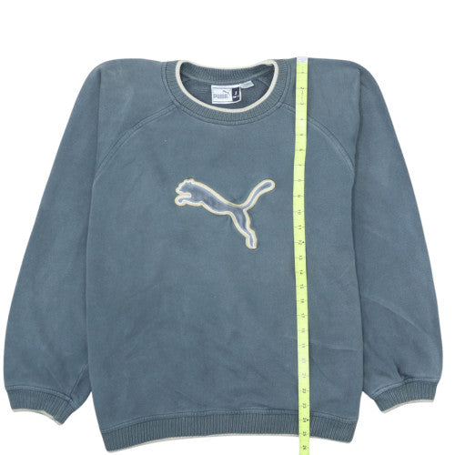 Puma Men’s Blue Pullover Sweatshirt Small Crew Neck Sports Fleece