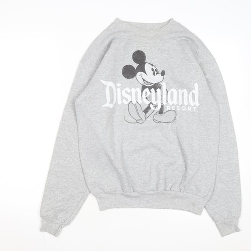 Hanes Disneyland Resort Mens Grey Small Pullover Sweatshirt