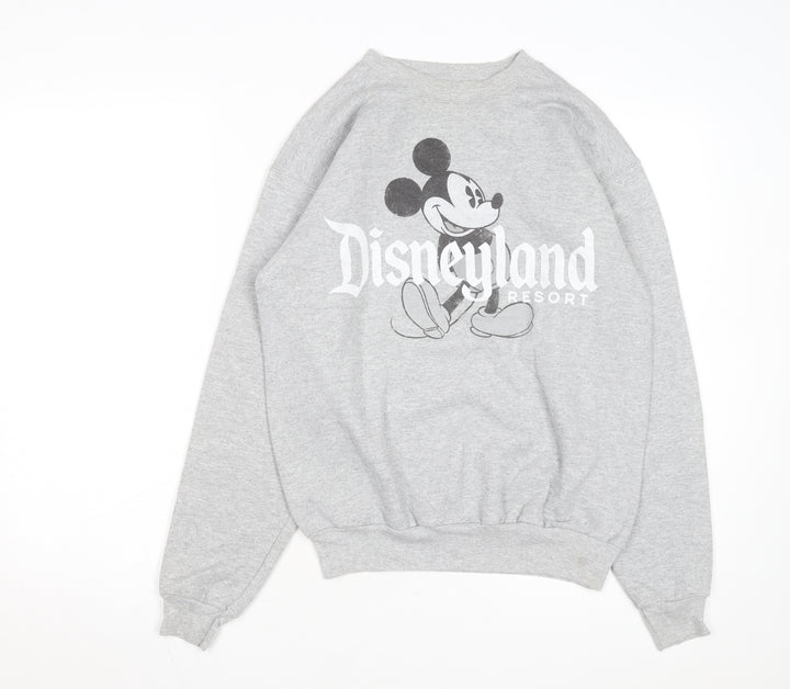 Hanes Disneyland Resort Mens Grey Small Pullover Sweatshirt