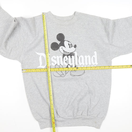 Hanes Disneyland Resort Mens Grey Small Pullover Sweatshirt