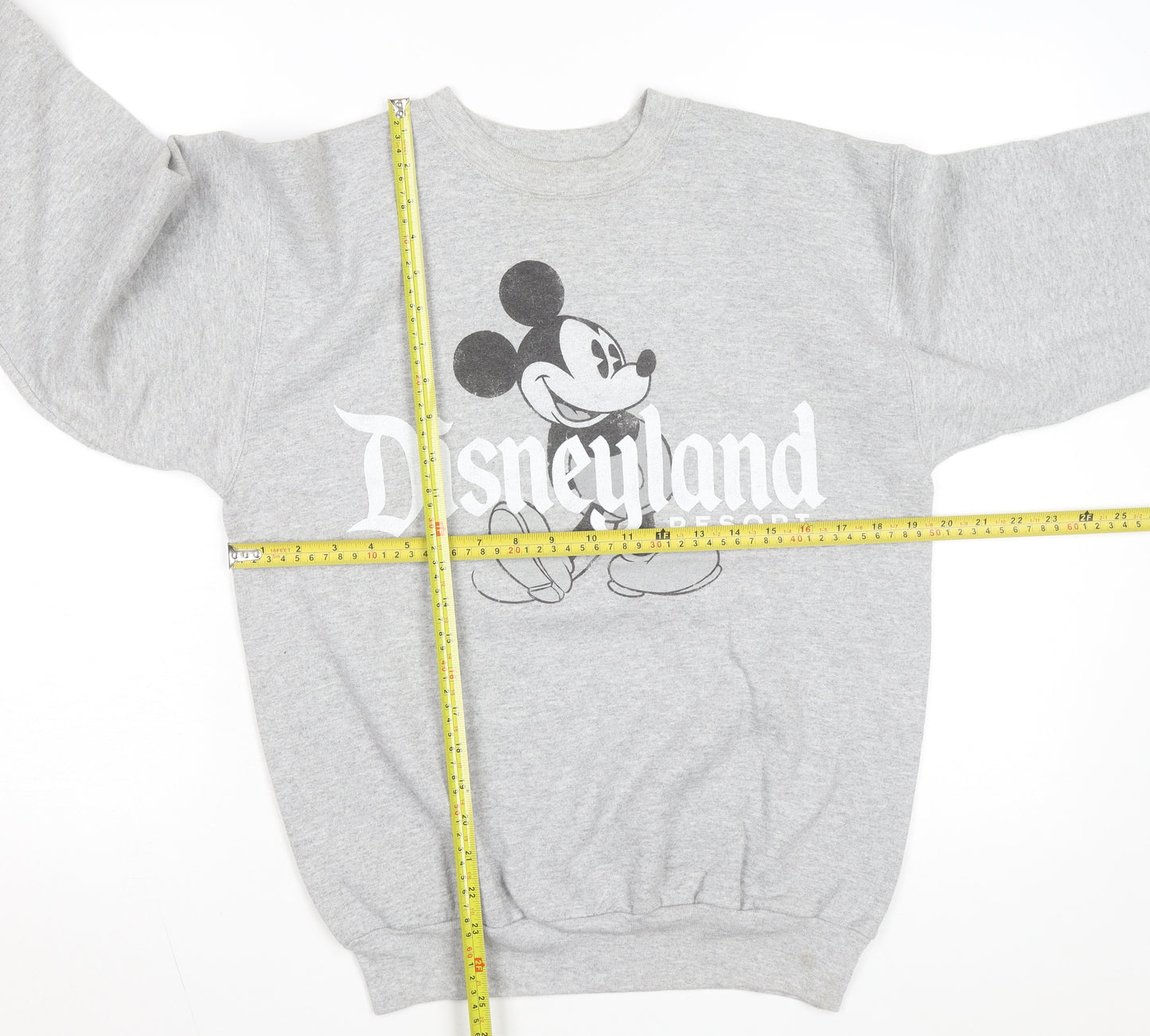 Hanes Disneyland Resort Mens Grey Small Pullover Sweatshirt