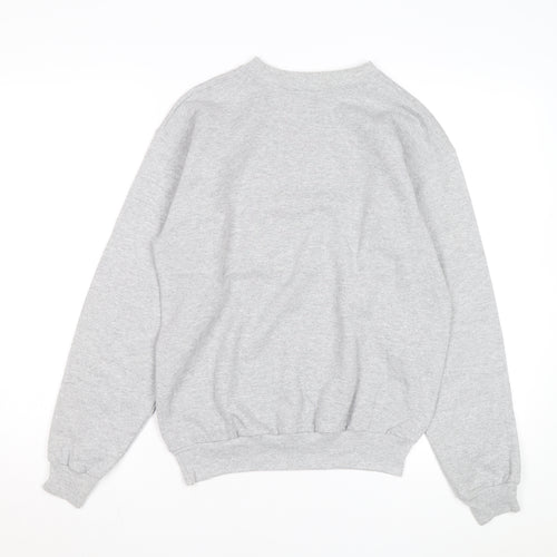 Hanes Disneyland Resort Mens Grey Small Pullover Sweatshirt