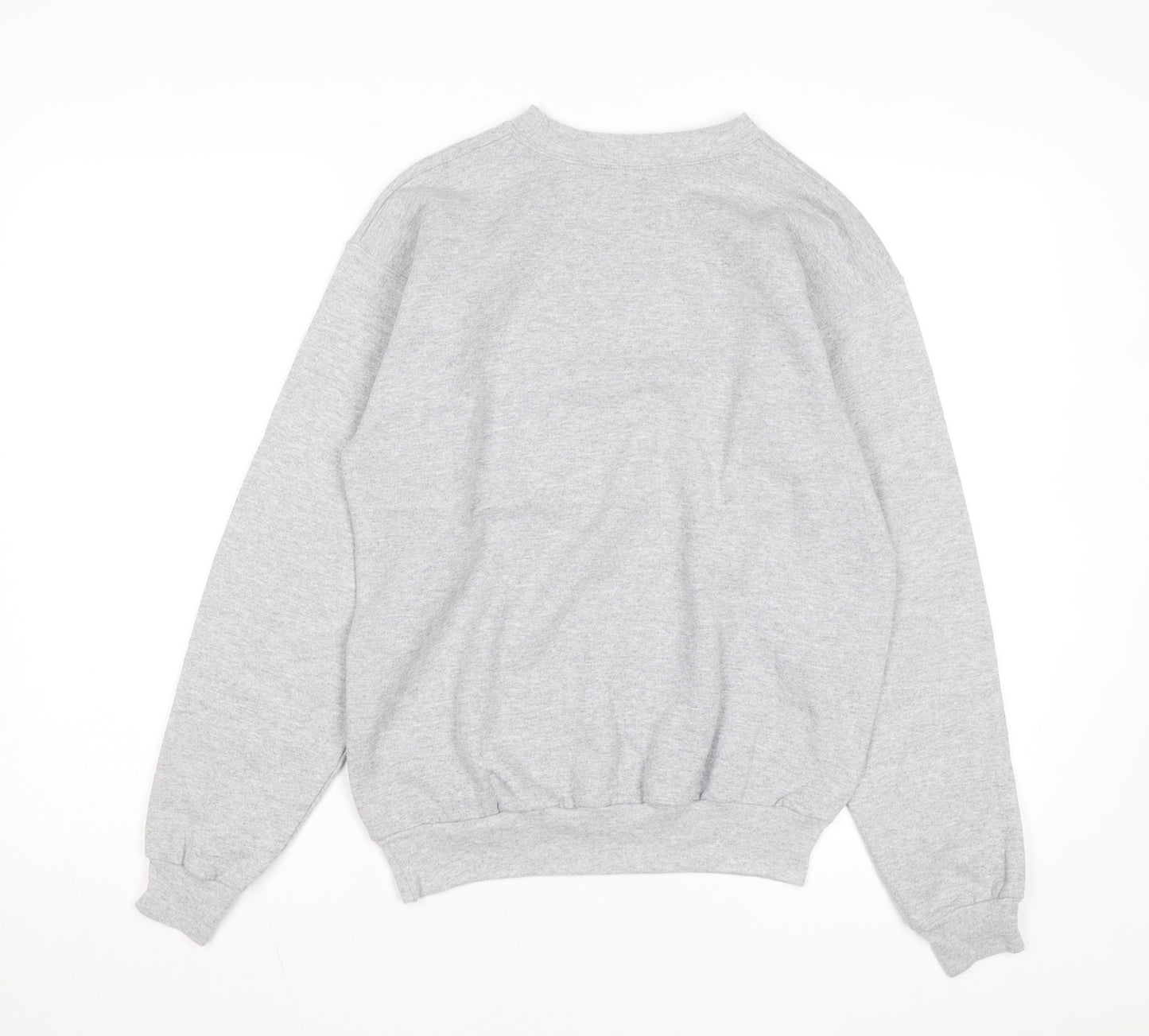 Hanes Disneyland Resort Mens Grey Small Pullover Sweatshirt