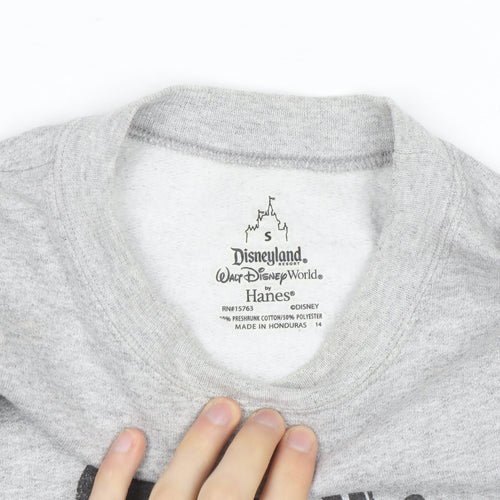 Hanes Disneyland Resort Mens Grey Small Pullover Sweatshirt