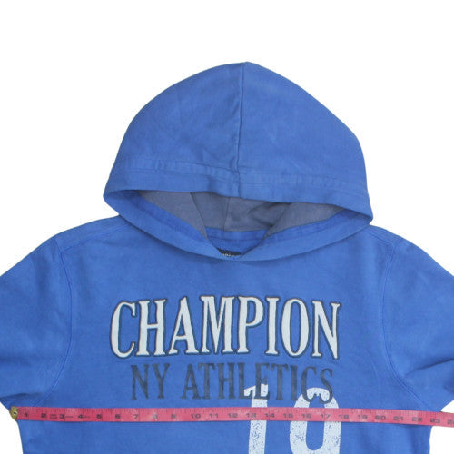 Champion Men’s Blue Pullover Hoodie L Graphic Fleece Sweatshirt