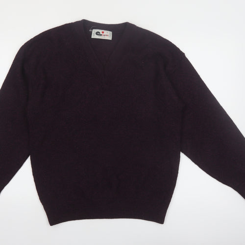 Cooper Monsieur Men's Purple Wool Blend V-Neck Jumper Size M
