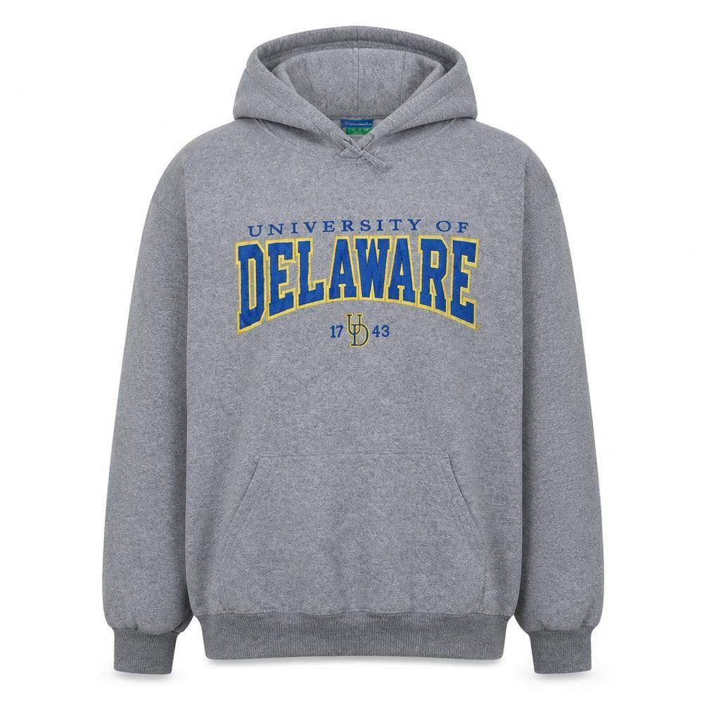 Front view of Champion Men's Grey University of Delaware Pullover Hoodie L