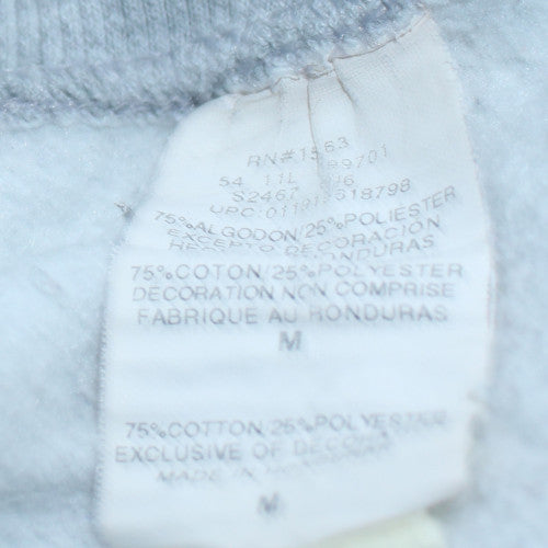 Champion Men's Grey Pullover Hoodie Medium Graphic Sportswear