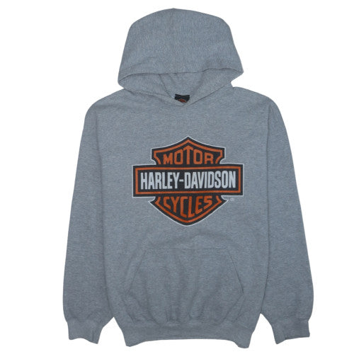 Harley-Davidson Mens Grey Pullover Hoodie L Biker Graphic