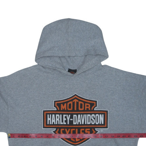 Harley-Davidson Mens Grey Pullover Hoodie L Biker Graphic