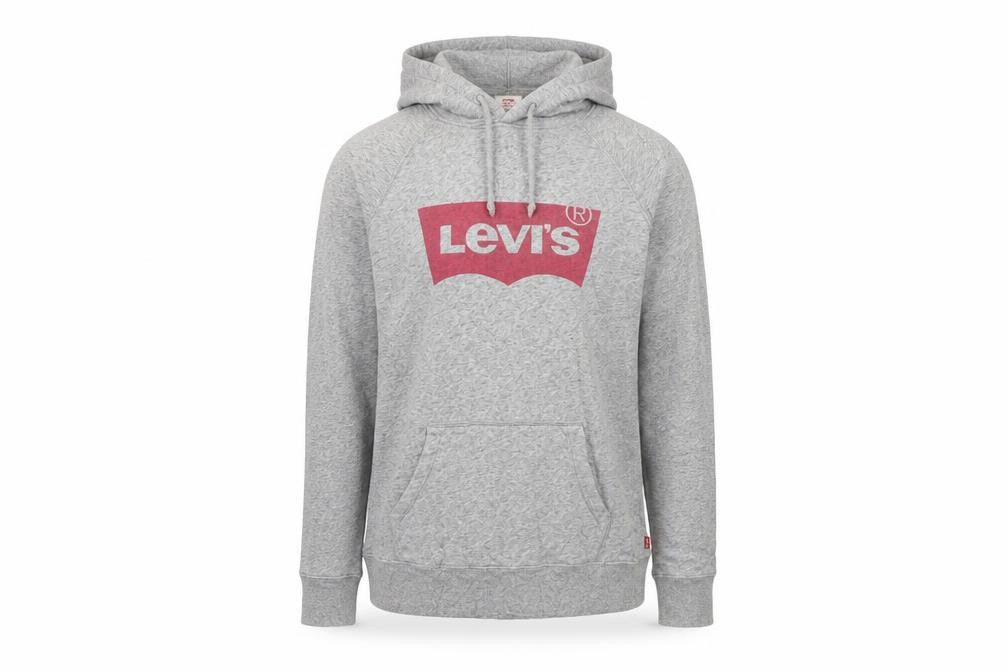 Front view of Levi's Men's Grey Pullover Hoodie Small Graphic Print Casual