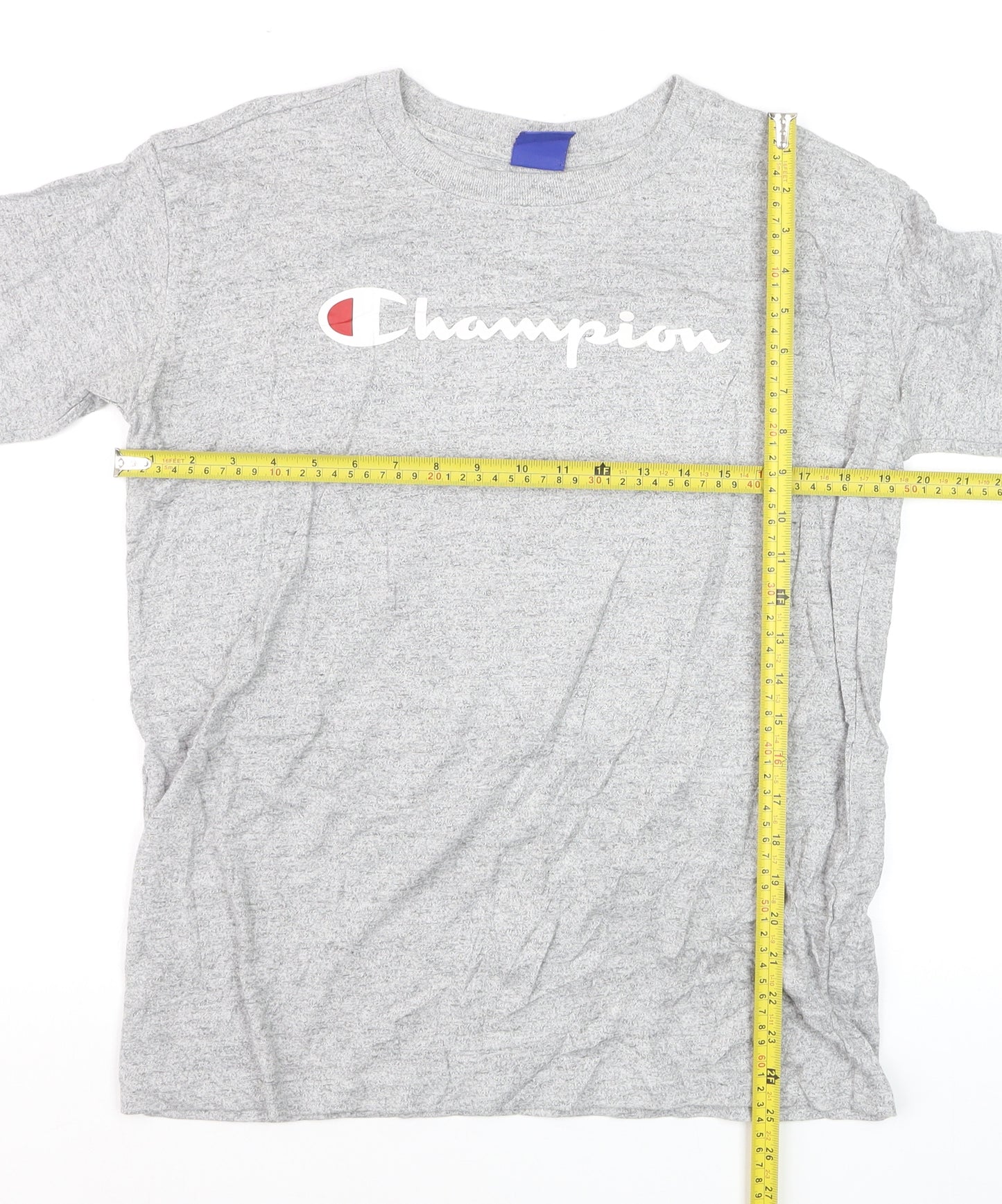Champion Men's Grey Small Pullover Sweatshirt with Logo
