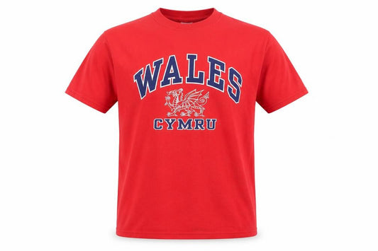 Front view of Gildan Men's Red Wales Cymru Graphic Heavy Cotton T-Shirt, size S