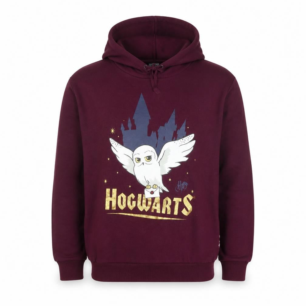 Harry Potter Boys Burgundy Pullover Hoodie 8-10 Years Hogwarts Logo