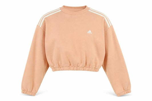 Front view of Adidas women’s beige cropped pullover sweatshirt, size M, 12-14