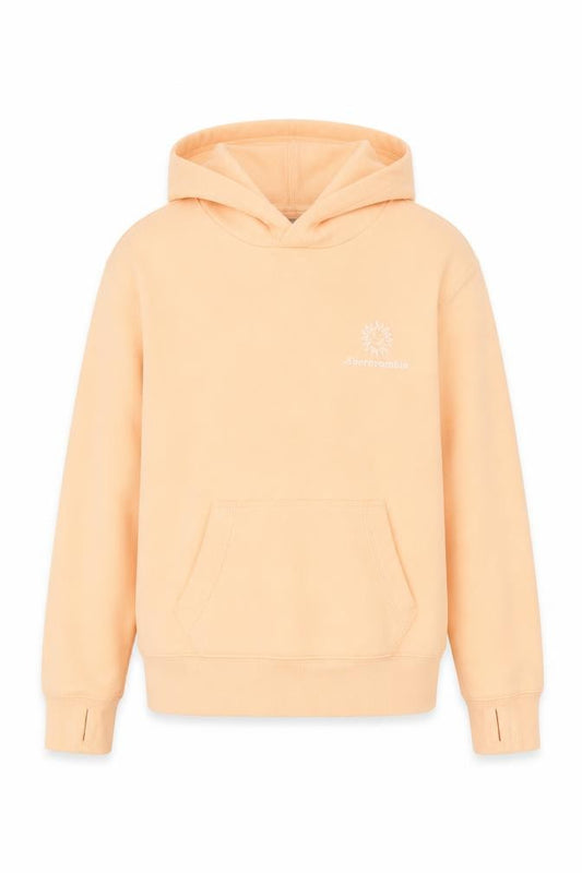 Front view of Abercrombie & Fitch Kids girls’ beige logo pullover hoodie 9-10 years