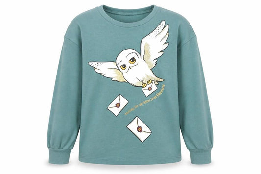 Front view of H&M boys’ green harry potter owl graphic long sleeve sweatshirt 10 years