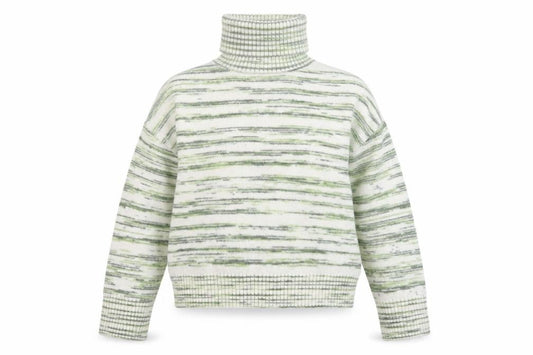 Front view of Marks & Spencer Women's Green Striped Roll Neck Jumper, size M