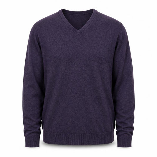 Front view of Eddie Bauer Men's Purple Cotton Cashmere V-Neck Jumper L Tall