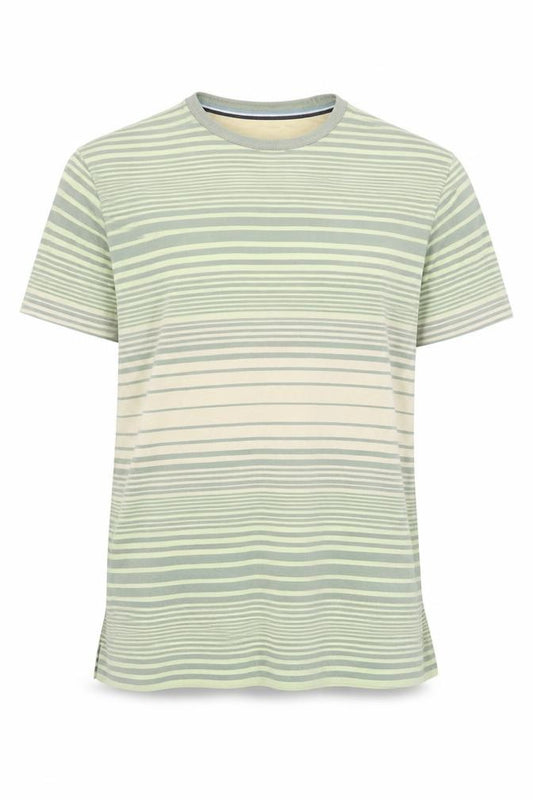 Front view of Hammond & Co Men’s Green Striped Cotton Crew Neck T-Shirt, size S