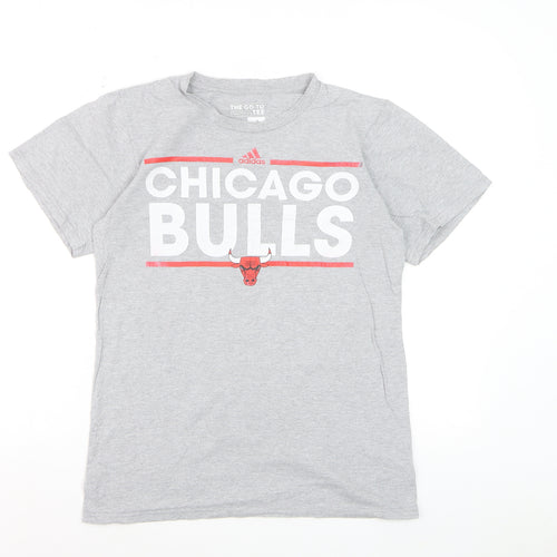 adidas Mens Grey Chicago Bulls Short Sleeve Graphic T-Shirt S
