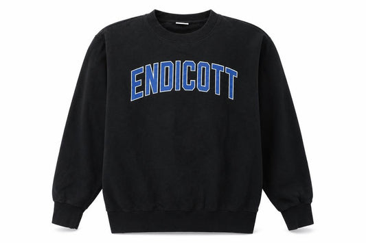 Front view of MV Sport Men's Black Endicott College Pullover Sweatshirt, size S