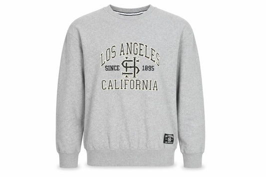 Front view of The Stronghold Men's Grey Graphic College Sweatshirt Small