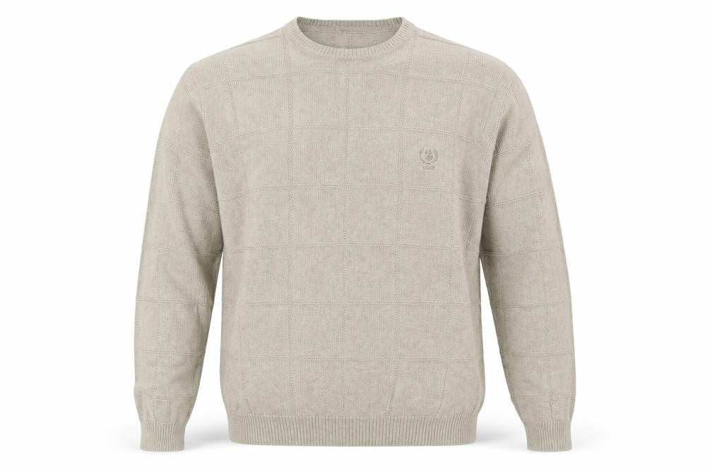 Front view of IZOD Men Beige Cotton Check Knit Crew Neck jumper M