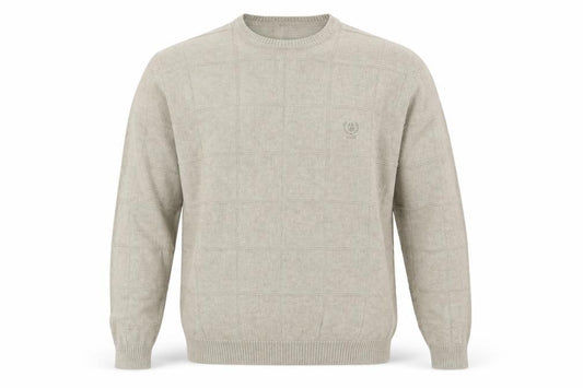 Front view of IZOD Men Beige Cotton Check Knit Crew Neck jumper M