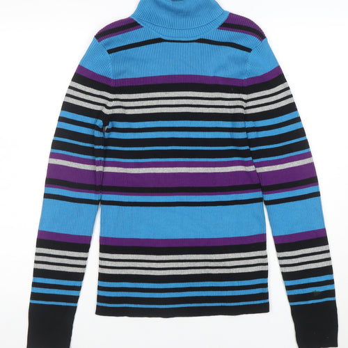 Northern Reflections Womens Multicoloured M Roll Neck Stripe Jumper